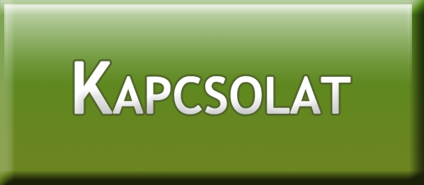 kapcsolat